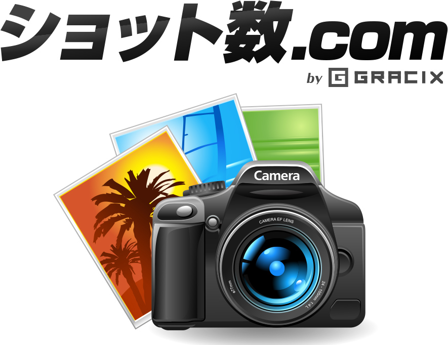 Nikon（ニコン）D3300 多数おまけあり　シャッター数23.159枚